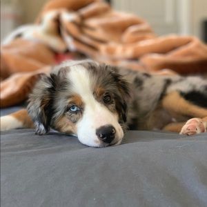 Meet your Posher, Zainab